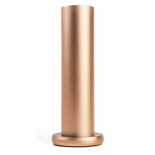 Dyfuzor zapachowy Air Tube Gold #1